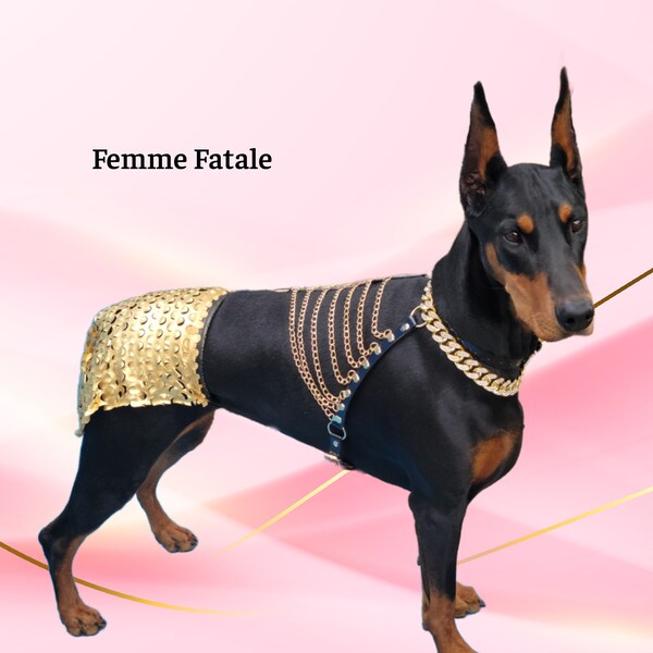 Egyptian Costume Etsy