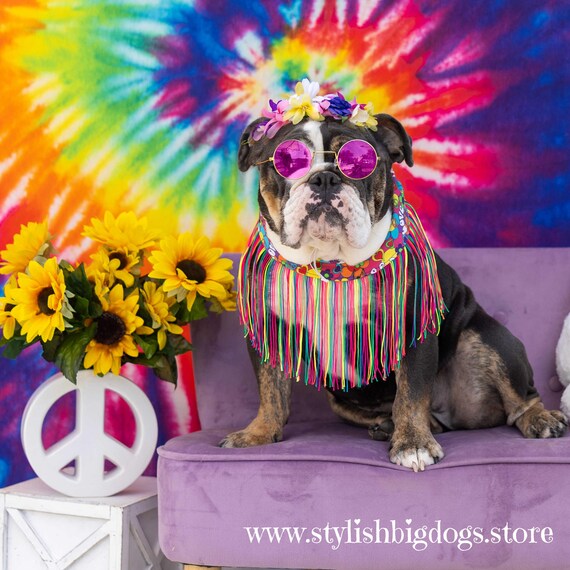 Groovy 70s Floppy Festival Hat Aardvarks Odd Ark Poodle Dogs Floral Hippie Groovy 70s Aardvarks Odd Ark Floppy Hat Poodle Dogs Floral  main image 4