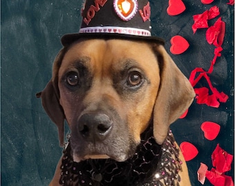 Valentinstag Hund Stirnband & Halsband Set – Mit Herz, Pailletten & Glöckchen, Verstellbar Für Kleine Bis Große Hunde