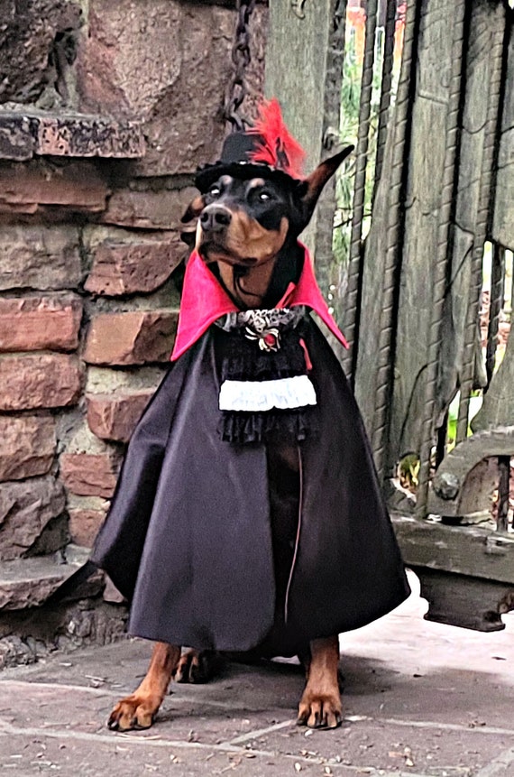 Vampir-Umhang Für Große Hunde – Verstellbar, Aus Satin, Für Halloween & Kostümpartys (Größe: Groß, Schwarz)