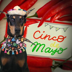 Cinco de Mayo, big dog bandana, large bandana, Mexican theme, Dog Bandana, Holiday bandana