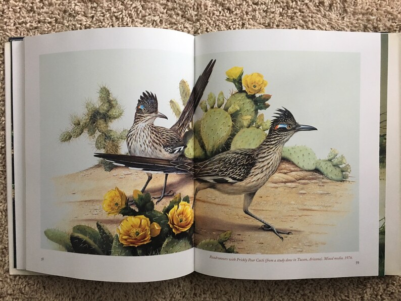 Roger Tory Peterson The Art and Photography of the Worlds Foremost Birder image 6