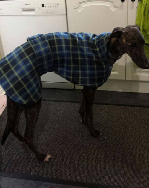 predators dog jersey