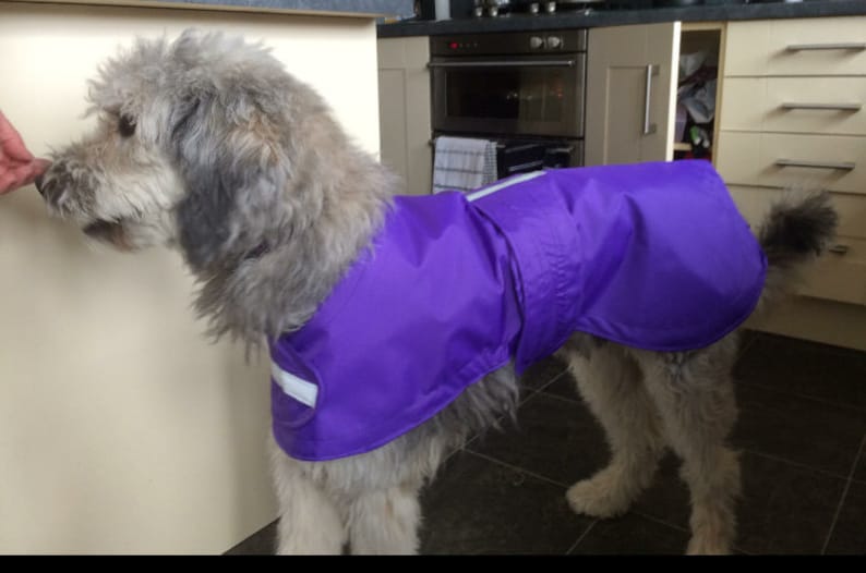 Extra large dog breed dog coats made to measure bull mastiff Etsy