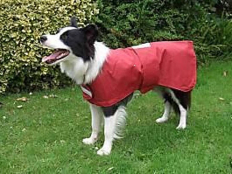 Waterproof dog coat checked polar fleece inner reflective all Etsy