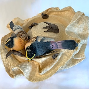 Birds Nest Hat