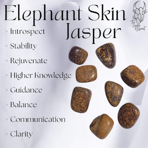 Elephant Skin Jasper Tumbled Stone | Calligraphy Stone | Mariam Jasper | Coquina Jasper Crystal | Gemstone Tumble Crystal | Guidance Crystal