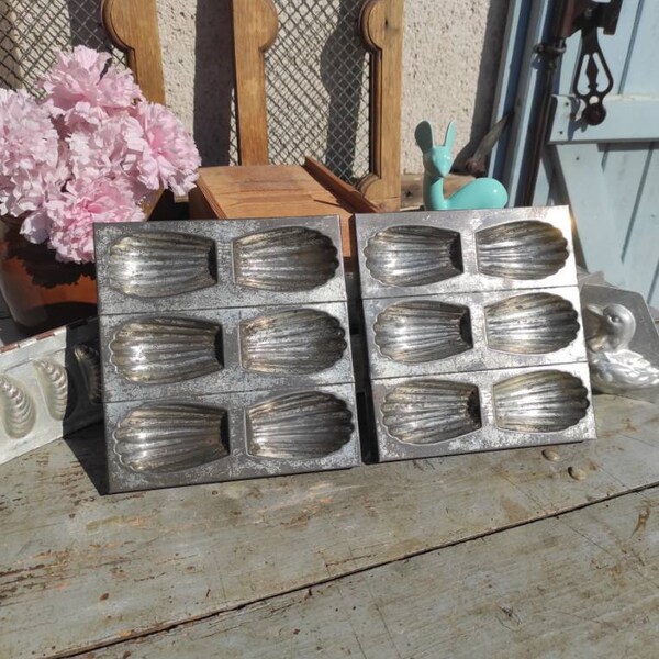 Madeleine Cookies Etsy