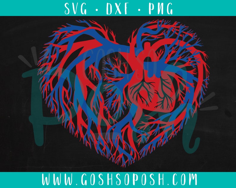 Free Free Svg Heart Vessel 516 SVG PNG EPS DXF File