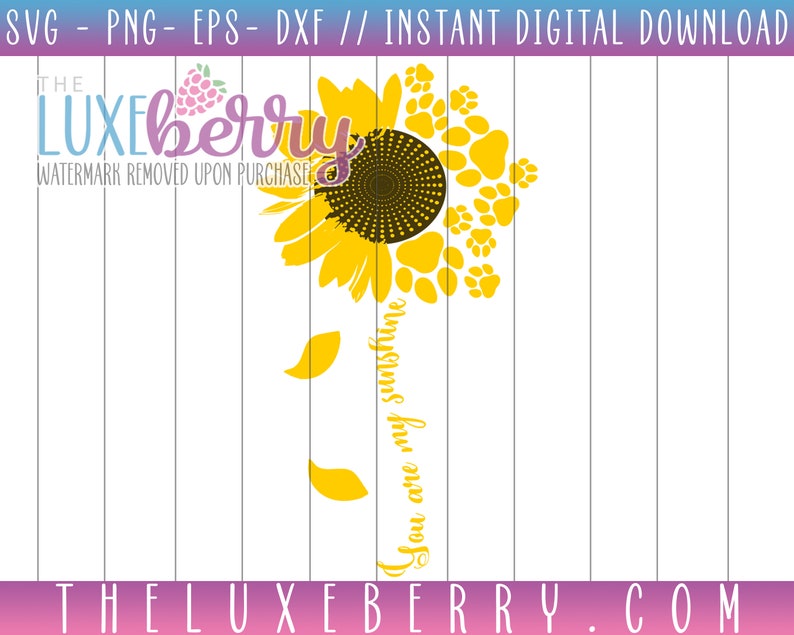 Download You are my sunshine Paw Prints Pets Sunflower SVG / EPS | Etsy