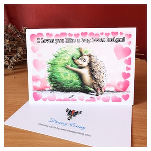Igel "Ich liebe dich wie ein Schwein liebt Hecken" Valentinstag/Mutter oder Vatertag/Jahrestag/Freund Grußkarte