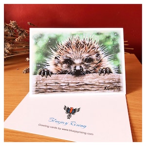 Hedgehog 5&quot;x 7&quot; Greeting Card . Wildlife themed. Print of a hand drawn image