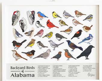 Florida Printable Backyard Birds of Florida Field Guide | Etsy