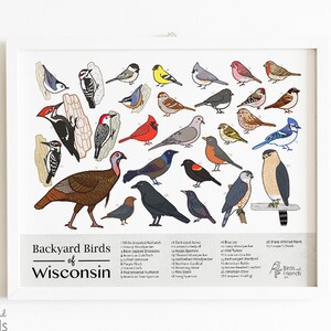 Wisconsin - Printable Backyard Birds of Wisconsin Field Guide Print - Bird Art Print - Instant Download - BirdsandFriends.co