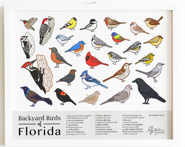 BirdsandFriends - Etsy
