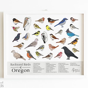 Oregon - Printable Backyard Birds of Oregon Field Guide Print - Printable Bird Art Print - Instant Download - BirdsandFriends.co
