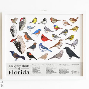 Florida - Printable Backyard Birds of Florida Field Guide Print - Bird Art Print - Instant Download - BirdsandFriends.co