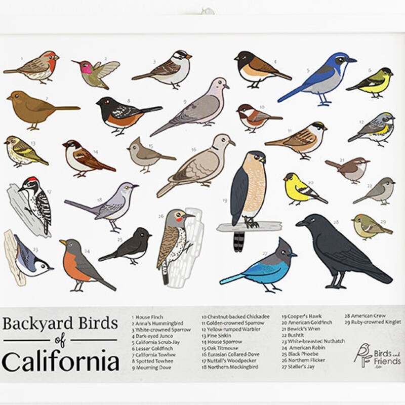 BirdsandFriends - Etsy