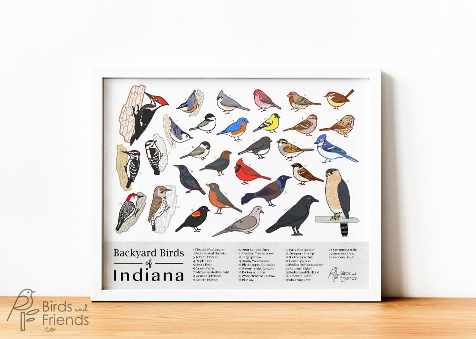 Indiana Printable Backyard Birds of Indiana Field Guide Print Bird Art