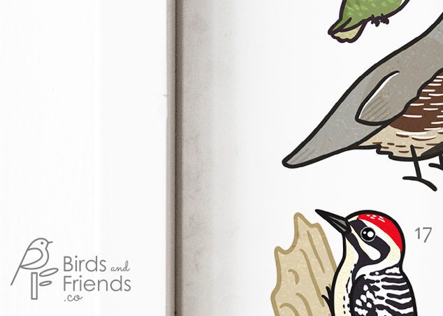 New Mexico Printable Backyard Birds of New Mexico Field Guide Print ...