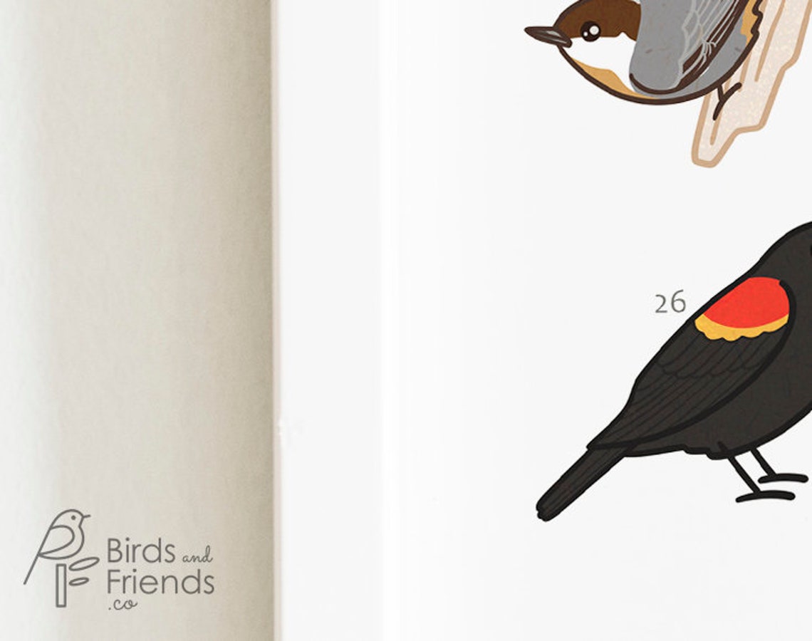 Georgia Printable Backyard Birds Of Georgia Field Guide Etsy georgia-printable-backyard-birds-of-georgia-field-guide-etsy