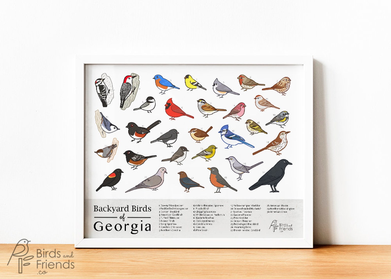 Backyard Birds Free Printables