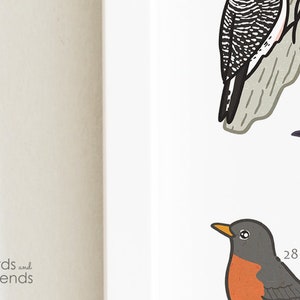 Texas - Printable Backyard Birds of Texas Field Guide Print - Printable ...
