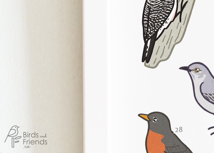 Texas Printable Backyard Birds of Texas Field Guide Print Printable ...