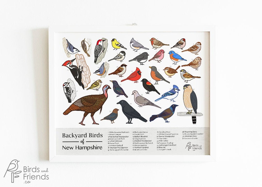 bird whiteページ il_1080xN.1945710397_580l.jpg