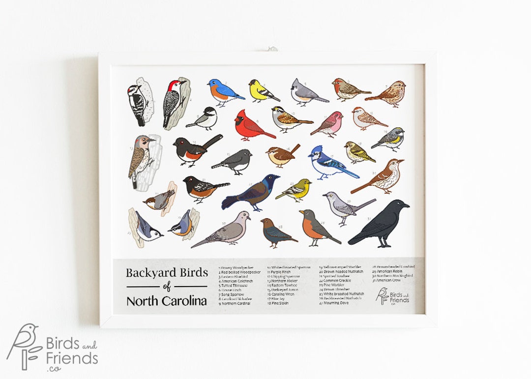 North Carolina - Printable Backyard Birds of North Carolina Field Guide Print - Bird Art Print ...