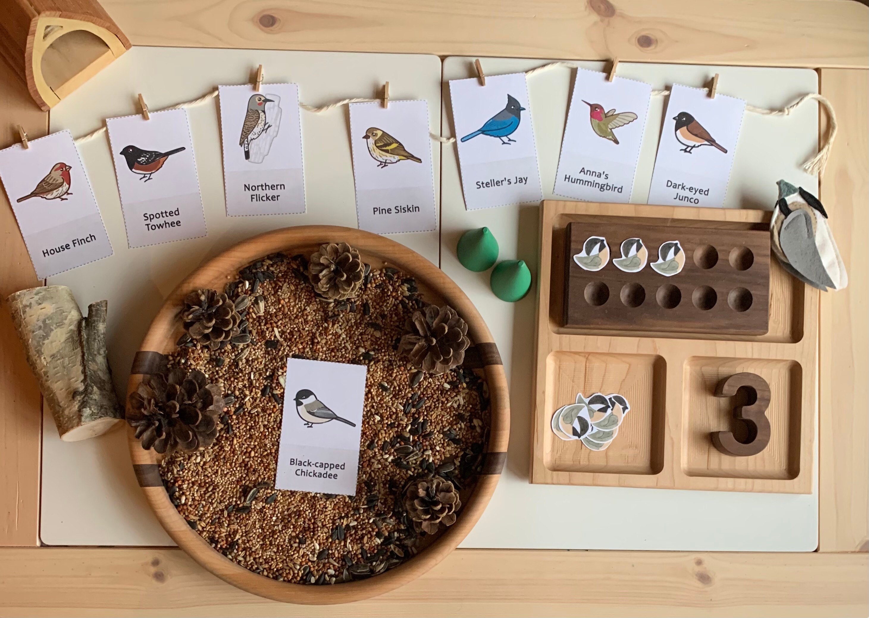 California Printable Flashcards Backyard Birds of California Printable ...