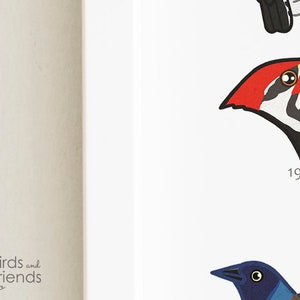 Florida Printable Backyard Birds of Florida Field Guide Print Bird Art ...