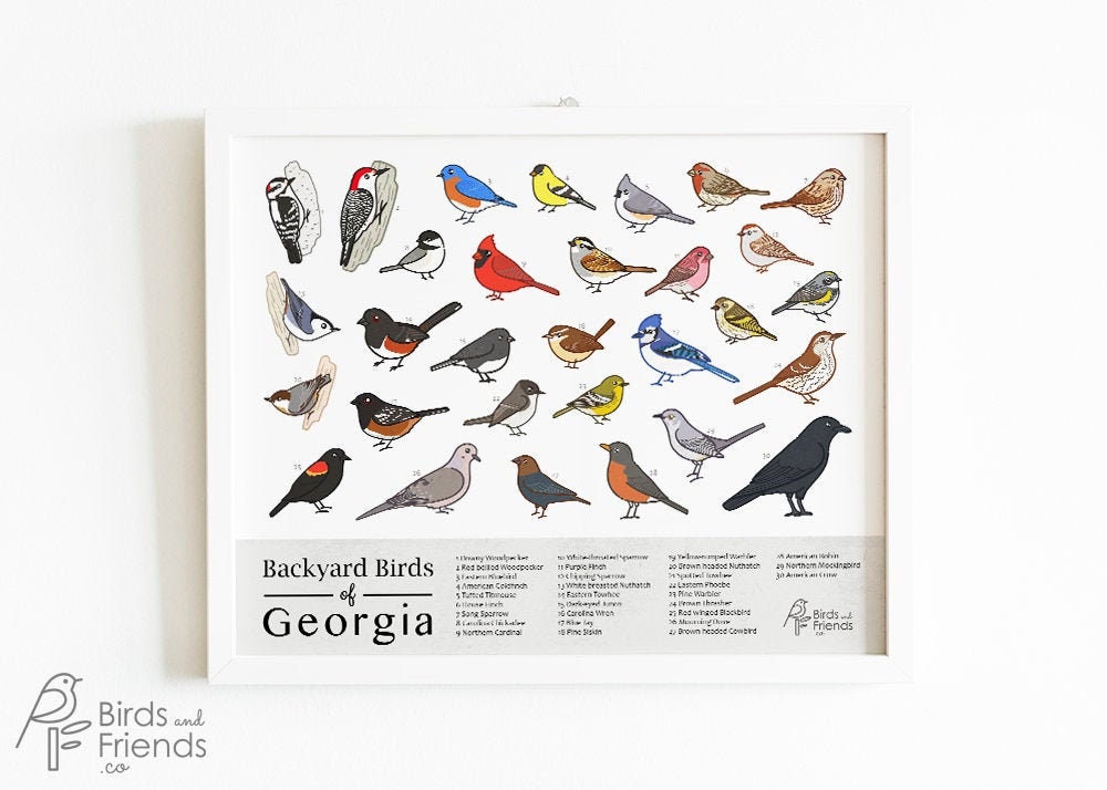Georgia Printable Backyard Birds of Georgia Field Guide Print Bird Art ...