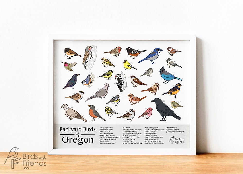 Oregon Printable Backyard Birds of Oregon Field Guide Print Printable ...