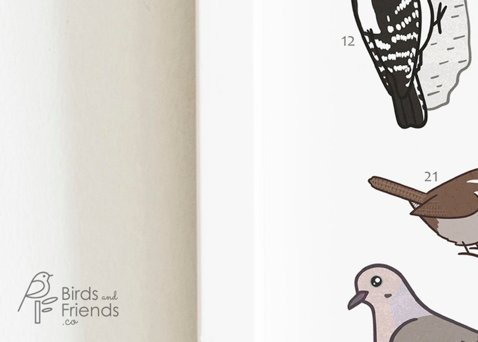 Washington State - Printable Backyard Birds of Washington Field Guide ...