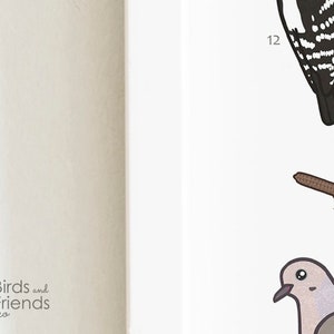 Washington State - Printable Backyard Birds of Washington Field Guide ...