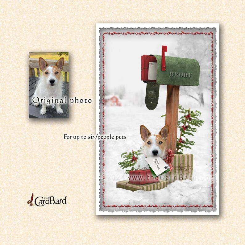 Custom Pet Christmas Card - "postal Pets" - Personalized Pet Holiday ...