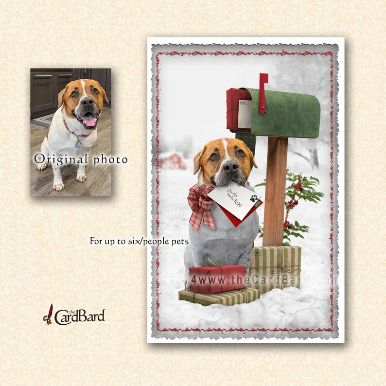Custom Pet Christmas Card - "postal Pets" - Personalized Pet Holiday ...
