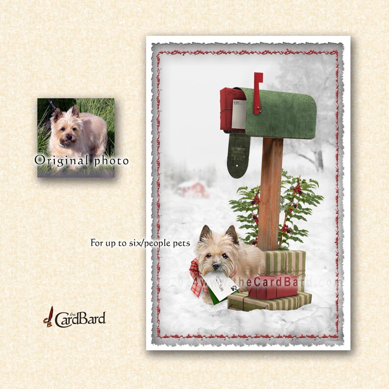 Custom Pet Christmas Card - "postal Pets" - Personalized Pet Holiday ...