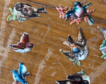 Lot de 19 pièces pour scrapbooking et junk journal, avec petits oiseaux et techniques mixtes. Tous les éléments vintage sont des éphémères. Lot de papiers découpés victoriens.