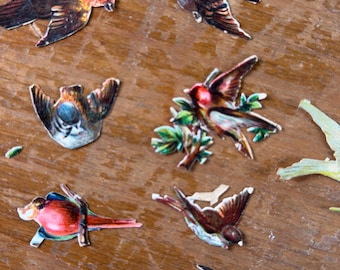 Lot de 19 pièces pour scrapbooking et junk journal, avec petits oiseaux et techniques mixtes. Tous les éléments vintage sont des éphémères. Lot de papiers découpés victoriens.