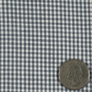 Może przedstawiać: Zbliżenie niebiesko-białej tkaniny w kratkę vichy. Tkanina ma mały, równomiernie rozmieszczony wzór w kratkę. Moneta ćwierćdolarowa USA znajduje się w prawym dolnym rogu dla skali, pokazując teksturę i rozmiar kratek. Tkanina jest prawdopodobnie bawełniana.