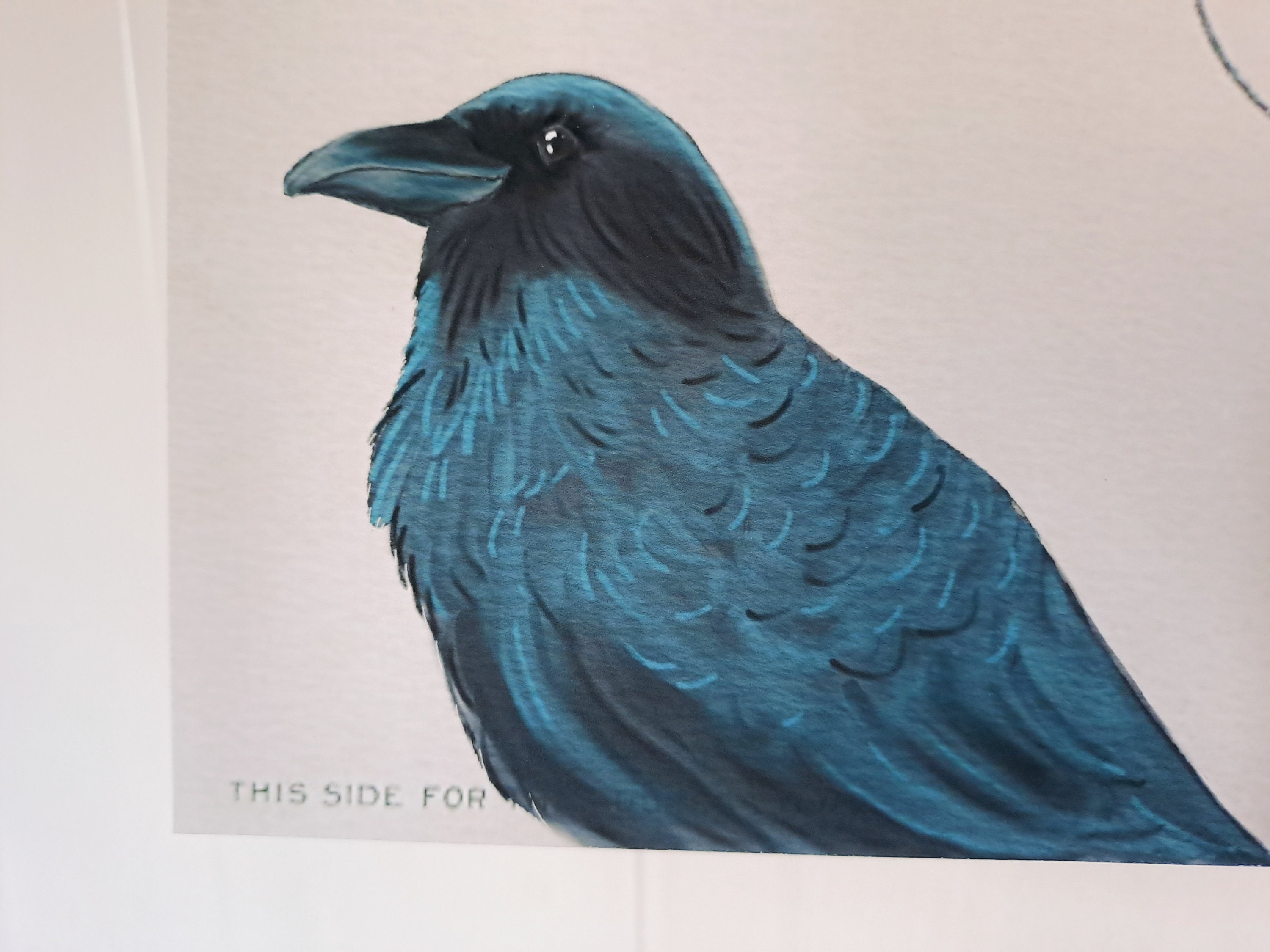 Watercolor Crow Postcard Print: Vintage Ephemera Art - Etsy