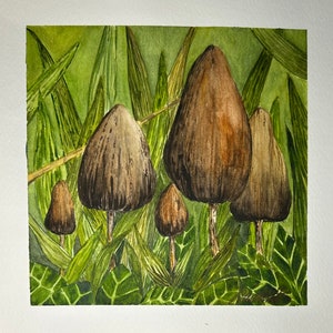 Original Mushroom Watercolor Painting: Nature Wall Art (9x9)
