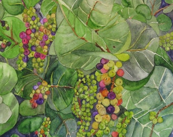 オリジナルの水彩画「ブドウの木のブドウ」9
