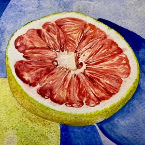 Original Watercolor of Grapefruit 7” x 7”