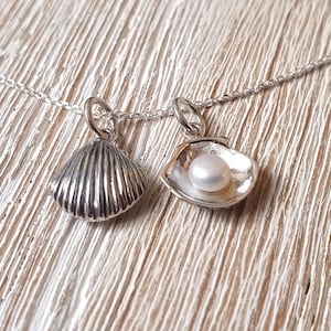 925 silver necklace with shell, shell necklace pendant, silver necklace with small pendant, shell, pearl necklace, silver necklace with pearl