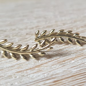 Puede incluir: Dos trepadores de oreja dorados en forma de hoja. Cada trepador presenta una serie de pequeñas hojas detalladas dispuestas a lo largo de un tallo curvo. La joyería está sobre una superficie de madera clara y texturizada.