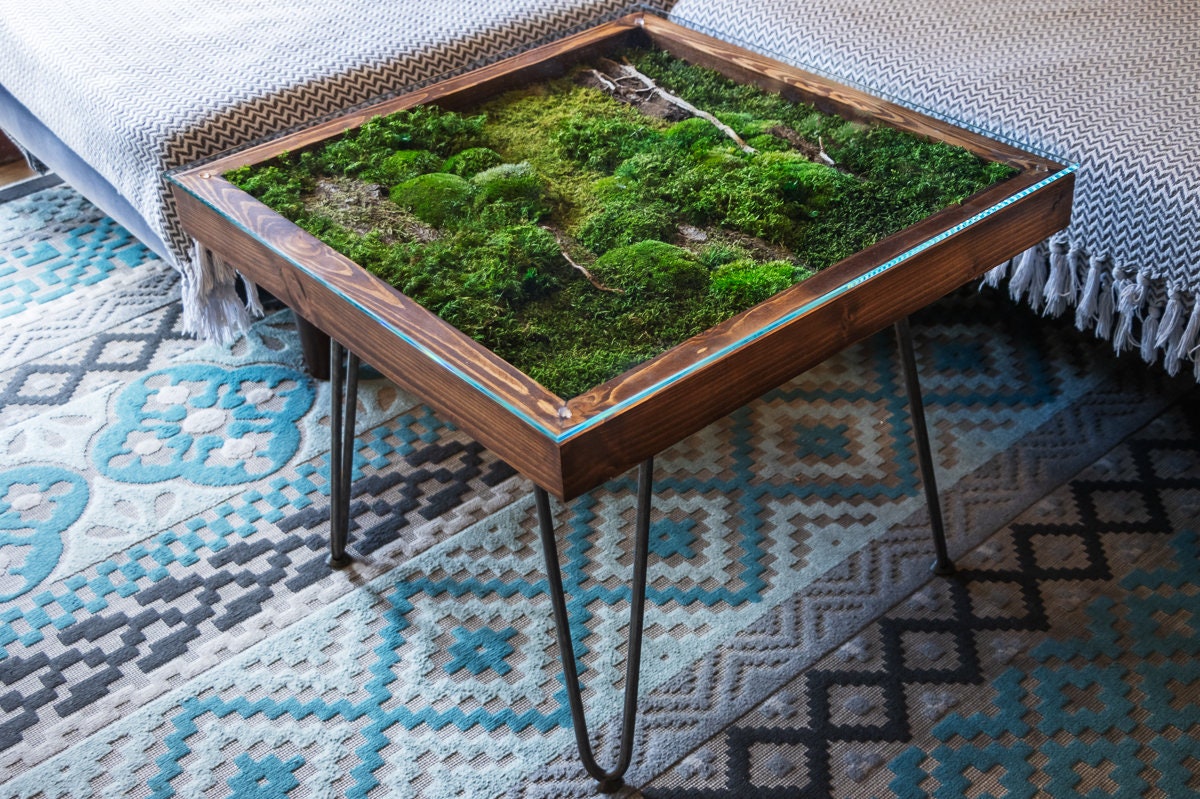 Glass terrarium 2024 coffee table