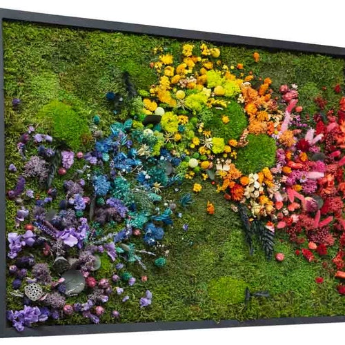 Rainbow | Moss wall art with bun moss, colourful lichen, flat moss or fern moss | Preserved and dried flowers | Verti-Grow
